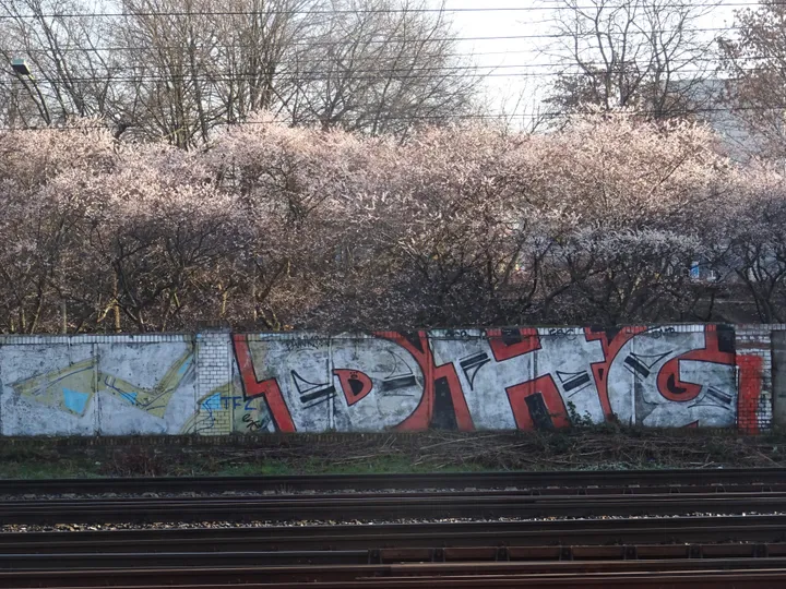 Remains of a concrete slab wall beside railway tracks, with bare trees behind.