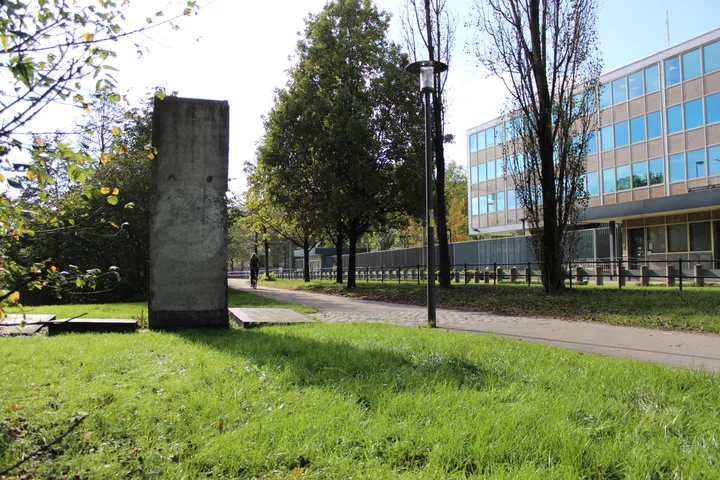 The painted western face of a Berlin Wall segment standing among trees.