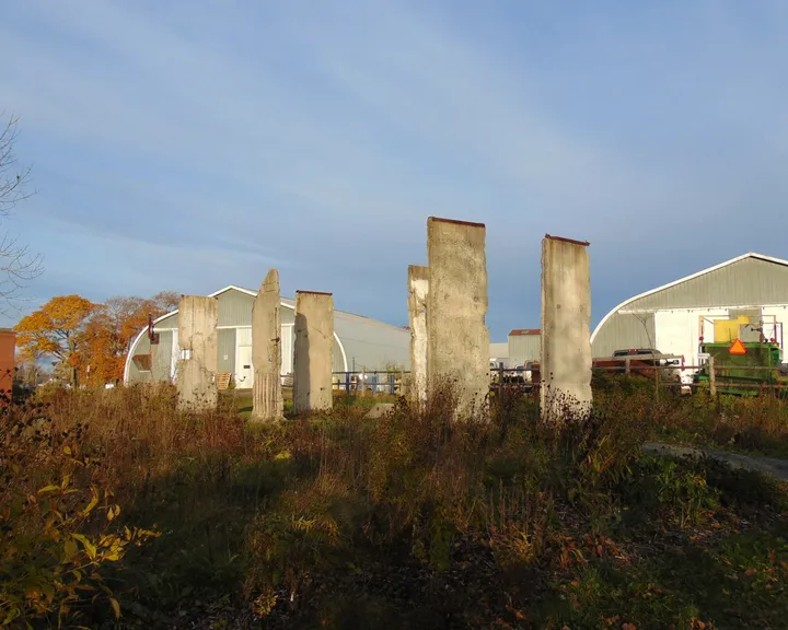 Sections of the Berlin Wall standing on grass beside a planted garden.